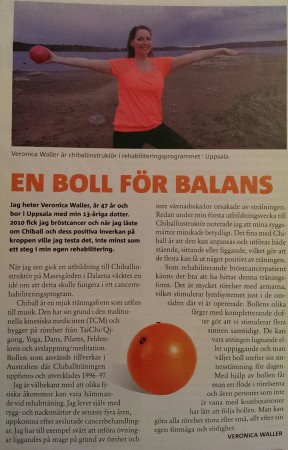 artikel i Brofästet nr 2/2015